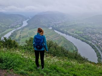 Aussicht Moselsteig Calmont