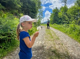 Young girl in blue shirt and white cap holding a dandelion on a gravel path in Pinzgau. An adult hiker is visible in the background.