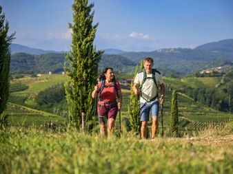 Wanderer in den Weinbergen von Collio