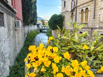 Gelbe Stiefmütterchen blühen entlang eines schmalen Kanals in der Altstadt von Garda, mit historischen Gebäuden auf beiden Seiten und Bergen im Hintergrund.