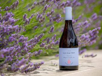 Wein am Landhaus Pietra del Gabreo