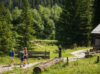 Three hikers with backpacks at a wooden fountain on a mountain path in Kitzbühel, surrounded by green meadows and dense forest.