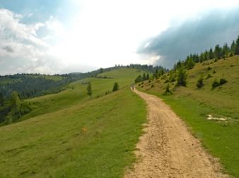 Hiking path in Transylvania
