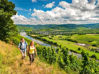 Hikers with a fantastic panoramic view on the Moselle