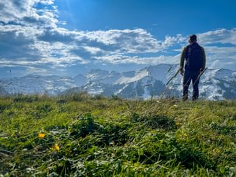 Hiker with backpack standing on green meadow with yellow flowers, viewing snow-capped Kitzbühel Alps under blue sky with white clouds.