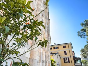 Zitrusbaum mit orangen Früchten vor historischem Steingebäude und gelben Wohnhäusern in Toscolano-Maderno unter blauem Himmel.