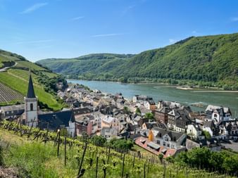 Panoramic view of Assmannshausen