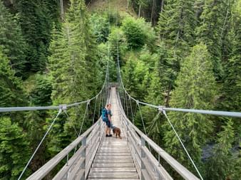 Wanderin mit Hund auf der Hängebrücke über dem Hinterrhein