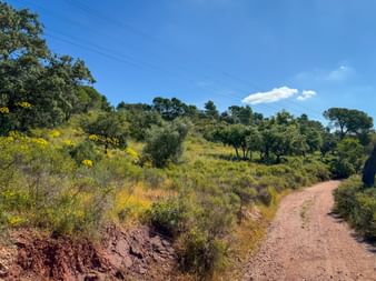 Wanderweg nach Ceramica
