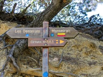 Signpost on the edge of the hiking trail