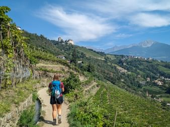 Hiker on the Merano High Mountain Trail