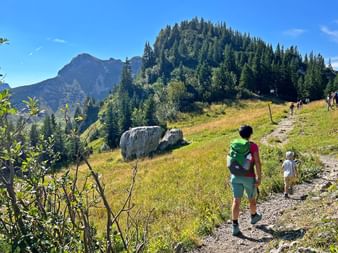 Hikers walking on a gravel path through an alpine meadow in Bavaria. Forested mountains and rocky outcrops under blue sky.