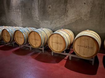 Row of wooden wine barrels labeled 'Winzer Krems' on metal stands against a concrete wall in a cellar with red floor.