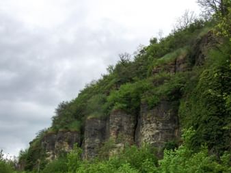 Green overgrown Nittel limestone cliffs
