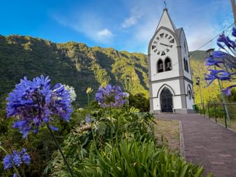 White church with clock tower in São Vicente, Madeira, surrounded by purple agapanthus flowers with green mountains in the background.