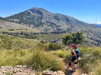 Hiker with backpack and walking stick on GR221 trail in Mallorca, walking through grassland towards Puig Galatzó mountain under blue sky.