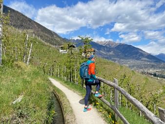 Wanderin genießt die Aussicht auf die Weingärten des Etschtals