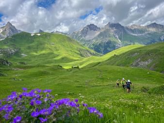 Hiking group on the E5 with blue flowers in the foreground