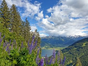 Marvellous view from the Schmittenhöhe to Zell am See