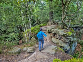 Eine Wanderin am Malerweg in der Sächsischen Schweiz