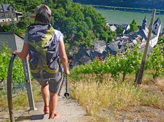Hiking trails from Mainz to Koblenz