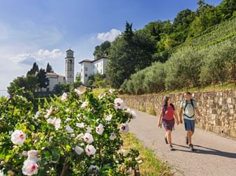 Two hikers walking on paved road past vineyards and white flowers, with church and bell tower on Monte Quarin hill in Cormons, Italy.