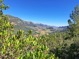 Landschaftspanorama mit Blick nach Orient