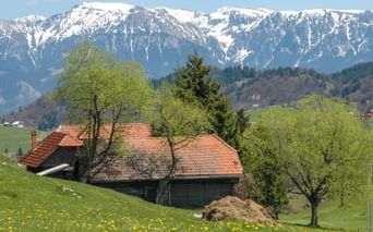 rumänische Hütte mit Bergpanorama