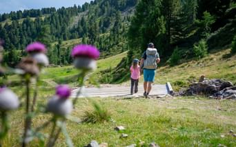 Family hike through green mountain scenery on the Lechweg trail