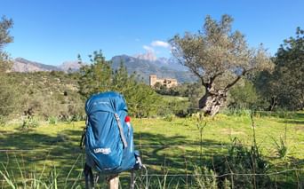Eurohike Rucksack im Olivengarten Eurohike Rucksack im Olivengarten einer typischen Finca