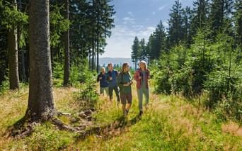 Rennsteig hikers in the Thuringian Forest