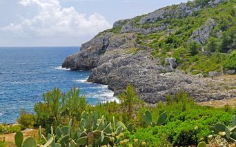Felsenküste Apulien
