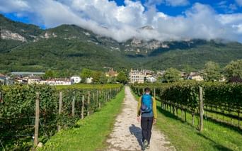 Hiker with blue backpack walking on gravel path between vineyards near Kaltern, with mountains and village in background under cloudy sky.