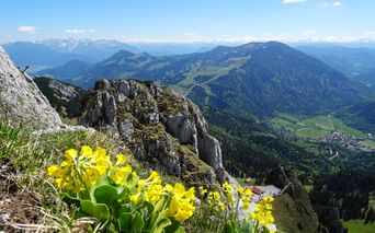Hiking tour on moutain Wendelstein with mountain view and flowers