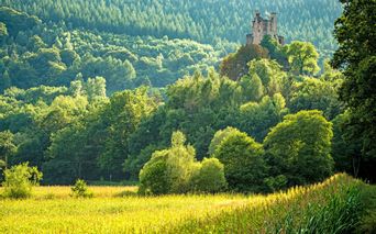 Panoramablick auf Burg Ramstein