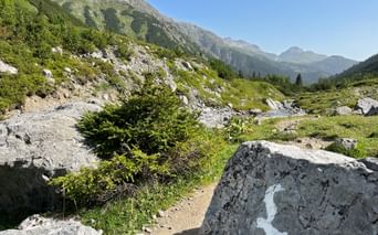 Weiße Wegmarkierung auf Felsen entlang des Lechwegs, mit Alpenbergen, grünen Wiesen und einem Bach im Hintergrund.