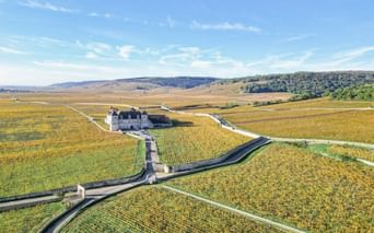 Schloss im Weinberg "Clos de Vougeot"
