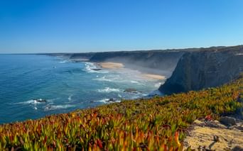 Dramatic cliffs at Ponta da Atalaia with colorful succulent plants in foreground, overlooking sandy beach and turquoise Atlantic Ocean.