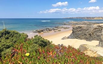 Bunte Küstenpflanzen mit gelben Blüten mit Blick auf einen Sandstrand mit Felsformationen und türkisfarbenem Meer entlang der Rota Vicentina.