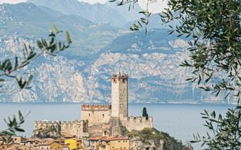 Medieval castle with tall tower in Malcesine overlooking Lake Garda, framed by olive branches. Mountains rise in the background.