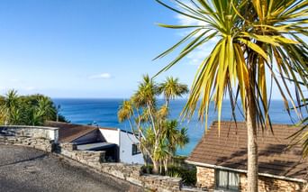 Blick auf Palme und Meer
