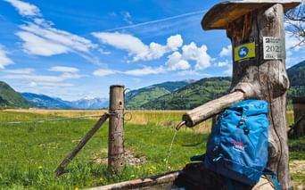 Traditioneller Holzbrunnen mit blauem Wanderrucksack im Pinzgau. Grüne Wiesen und Bergketten unter blauem Himmel mit weißen Wolken im Hintergrund.