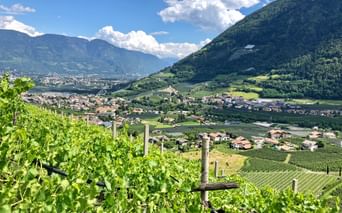 Blick auf das Meranerland