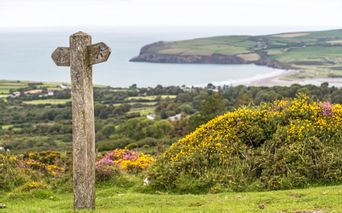 Wanderpfad am Küstenweg in Pembrokeshire Wales