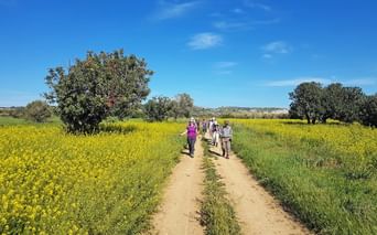 Wanderer in Blumenlandschaft auf Zypern