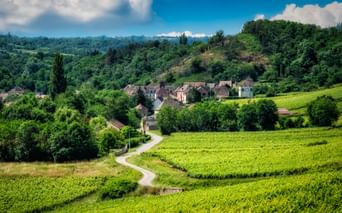 die wunderschöne Burgunder Landschaft