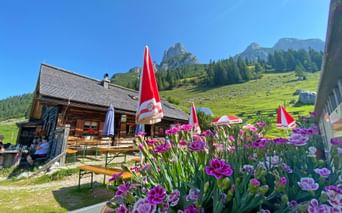 Stuhlalm on the Gosaukamm