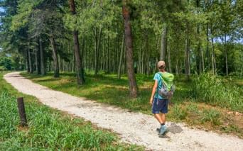 Wanderin auf Schotterweg mit Bäumen