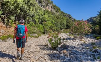 Wanderer auf dem Kiesweg Wanderer auf dem Kiesweg
