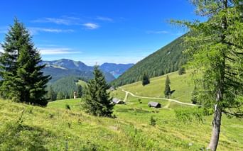 Alpine landscape in the Salzkammergut